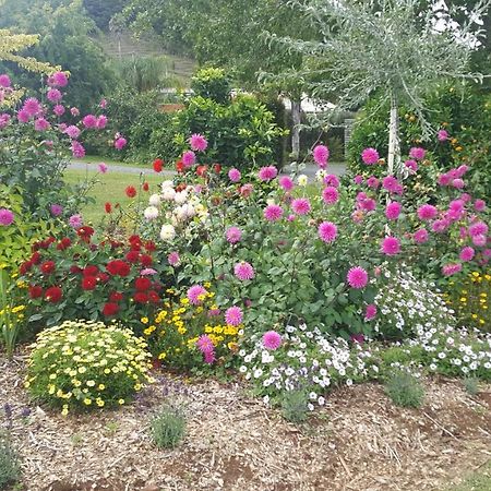 Glenbervie Cottages Whangarei Esterno foto